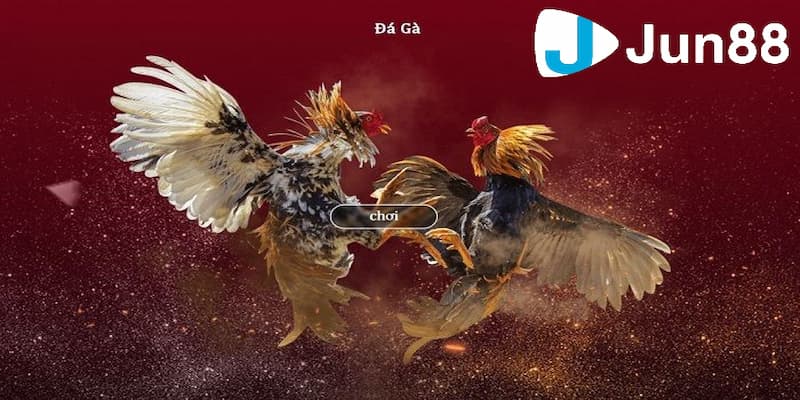 Các loại hình đá gà tại nhà cái cực hấp dẫn