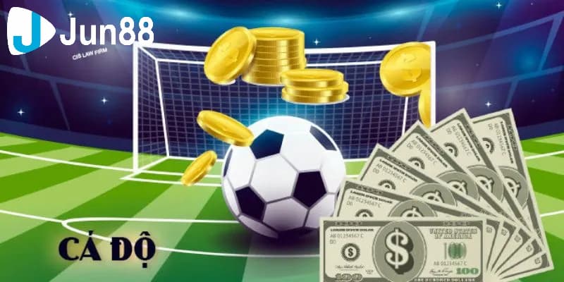 Tổng hợp các mẹo chơi cá độ dành cho dân chơi tham khảo 3 Nghiên cứu cũng như phân tích kỹ thông tin