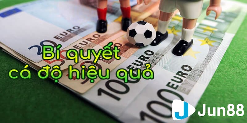 Phân tích các trận đấu đã qua