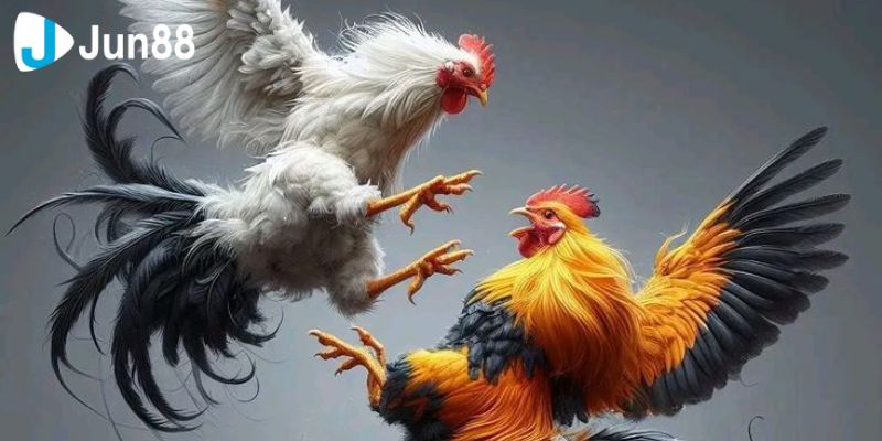 Trò chơi mang lại cho người dùng nhiều cơ hội lớn