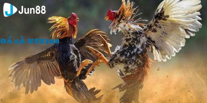 Cách thức tham gia vào hệ thống vô cùng đơn giản