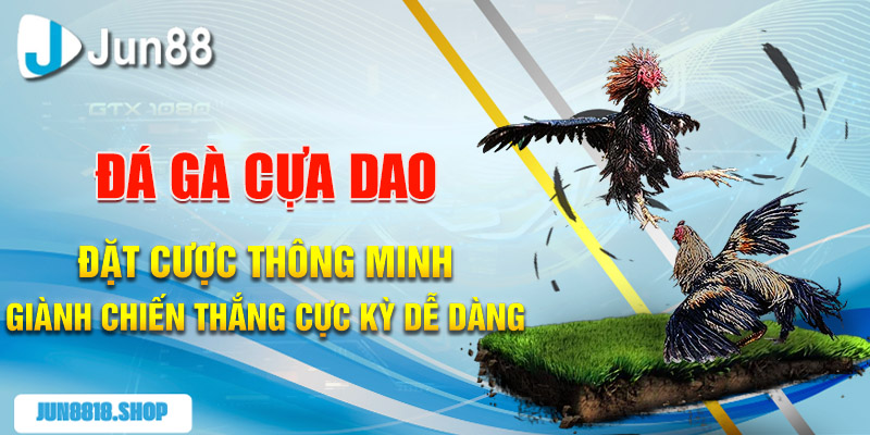 Bật mí những mẹo chơi cá cược thể thao cho người mới