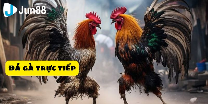 Người chơi cần tuân thủ quy tắc của nền tảng