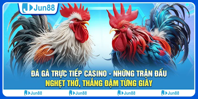da-ga-truc-tiep-casino-nhung-tran-dau-nghet-tho-thang-dam-tung-giay