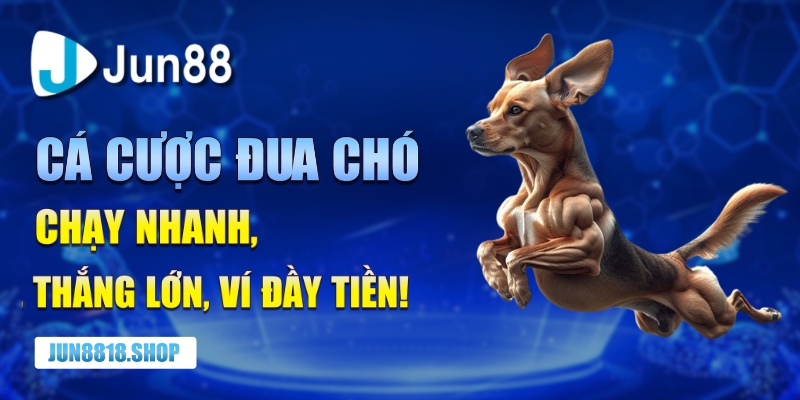 Cá cược đua chó