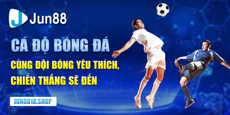 cá độ bóng đá