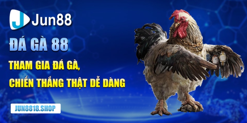 da ga 88 tham gia da ga chien thang that de dang