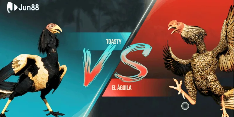 Đá gà casino Jun88