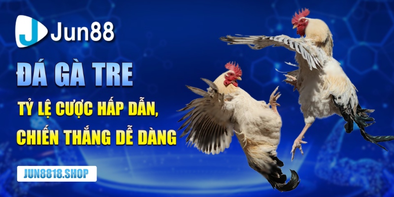 da ga tre ty le cuoc hap dan chien thang de dang