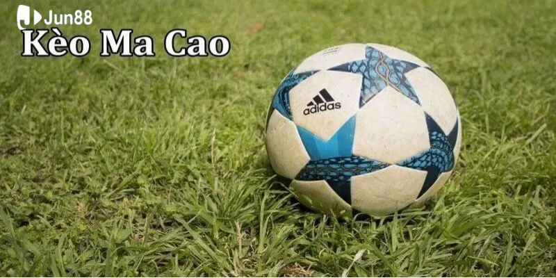 vi-du-minh-hoa-giup-nguoi-choi-de-hieu-hon-ve-loai-cuoc-nay