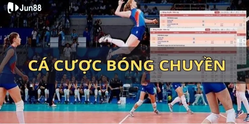 Chia sẻ kinh nghiệm cược bóng chuyền cực dễ cho anh em