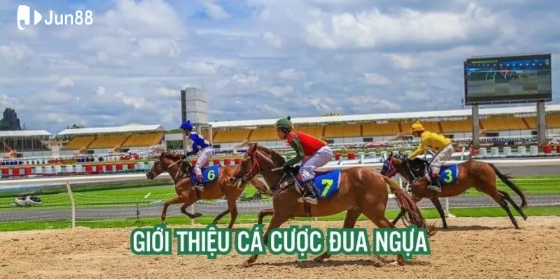 dua-ngua-bo-mon-co-tinh-canh-tranh-cao-day-khoc-liet