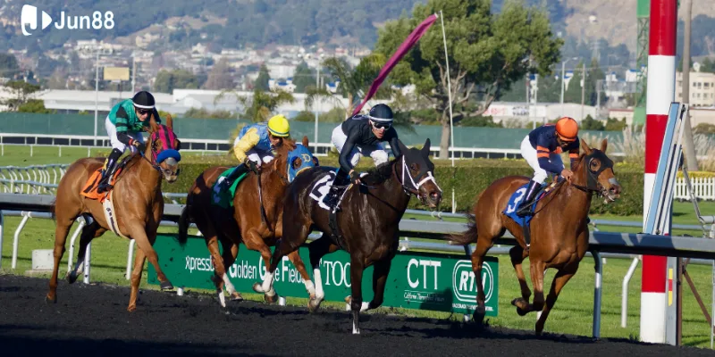 mẹo thắng đua ngựa ban-can-thuong-xuyen-theo-doi-ti-le-keo-do-jun88-cung-cap