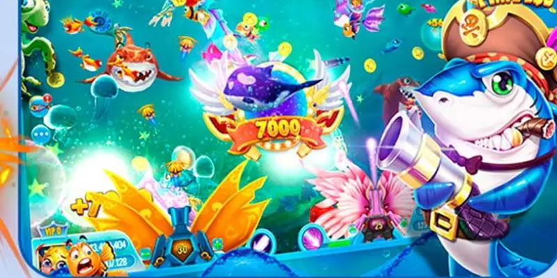 Săn cá đại dương được nhiều người yêu thích