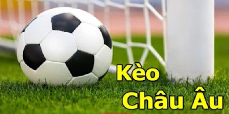 Tỷ lệ cá cược phù hợp