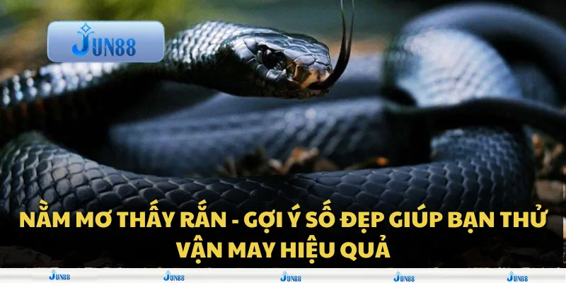 Nằm mơ thấy rắn - Gợi ý số đẹp giúp bạn thử vận may hiệu quả