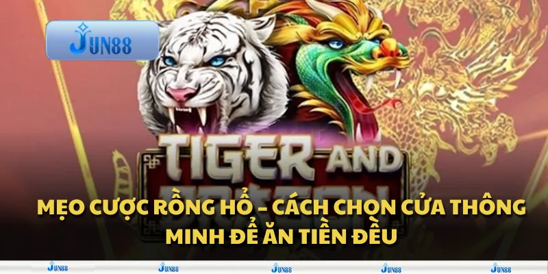 Mẹo cược Rồng Hổ – Cách chọn cửa thông minh để ăn tiền đều