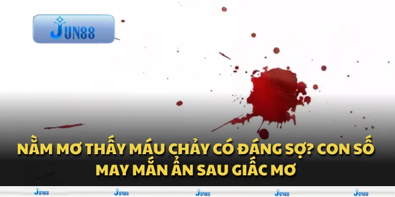 Nằm mơ thấy máu chảy có đáng sợ? Con số may mắn ẩn sau giấc mơ