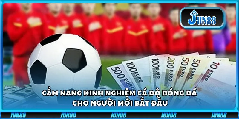 Cẩm nang kinh nghiệm cá độ bóng đá cho người mới bắt đầu